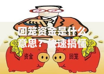 回笼资金是什么意思？快速搞懂企业资金周转的关键操作
