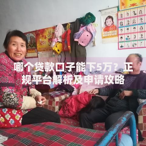 哪个贷款口子能下5万？正规平台解析及申请攻略