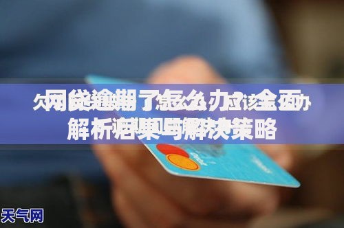 网贷逾期了怎么办？全面解析后果与解决策略