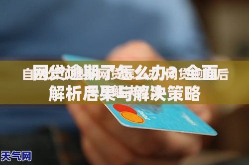 网贷逾期了怎么办？全面解析后果与解决策略
