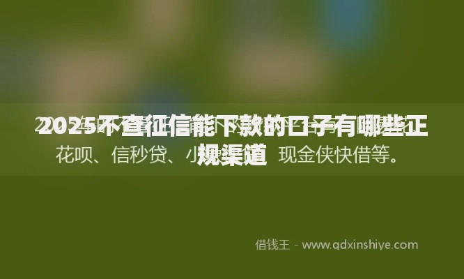2025不查征信能下款的口子有哪些正规渠道