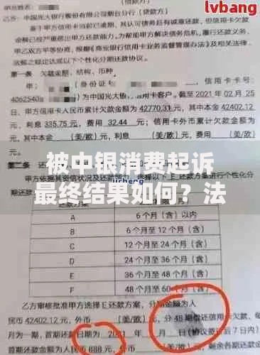被中银消费起诉最终结果如何？法律责任与应对策略解析