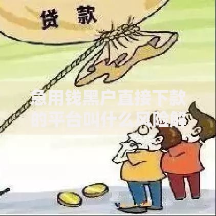 急用钱黑户直接下款的平台叫什么风险解析