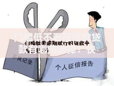 门槛低不看征信的贷款有哪些选择？快速审批方案解析