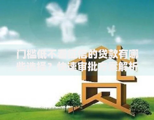 门槛低不看征信的贷款有哪些选择？快速审批方案解析