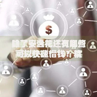 除了安逸花还有哪些可以快速借钱？精选5种正规渠道解析