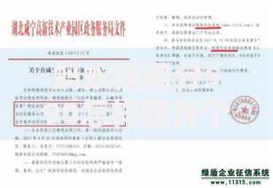蚂蚁信用分590怎样提升个人征信评分？7个方法快速优化信用资质