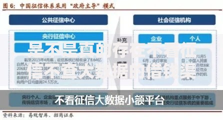 是不是真的存在不看征信不查大数据的借钱渠道？真相揭秘