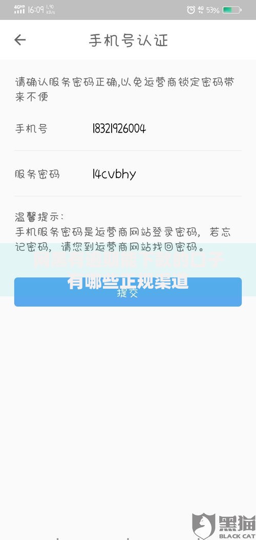 网黑有逾期能下款的口子有哪些正规渠道