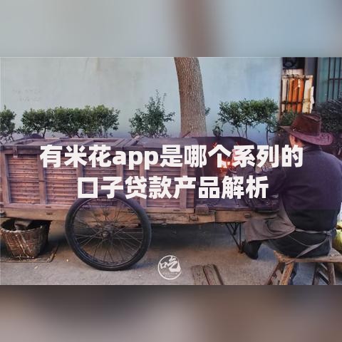 有米花app是哪个系列的口子贷款产品解析