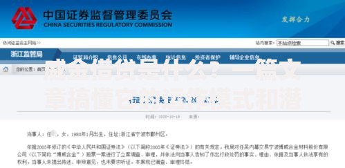 威金借贷是什么？一篇文章搞懂它的运作模式和潜在风险