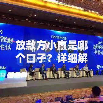 放款方小赢是哪个口子？详细解析借款渠道与资质要求