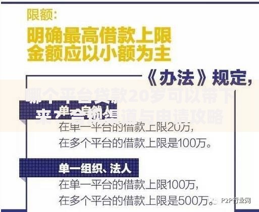 哪个平台贷款20岁可以带下来？合规渠道与申请攻略