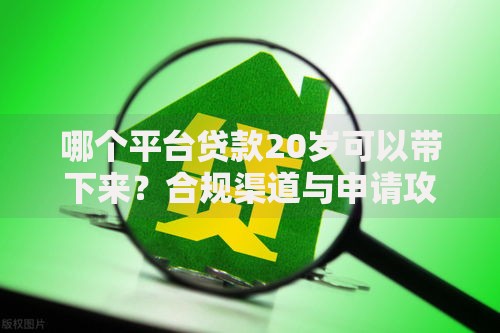 哪个平台贷款20岁可以带下来？合规渠道与申请攻略