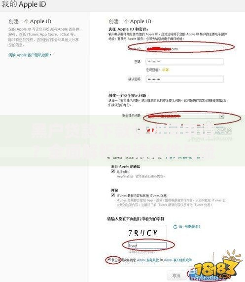 黑户贷款下款快如何申请？全面解析申请条件与流程