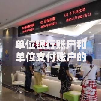 单位银行账户和单位支付账户的区别：核心功能与应用场景解析