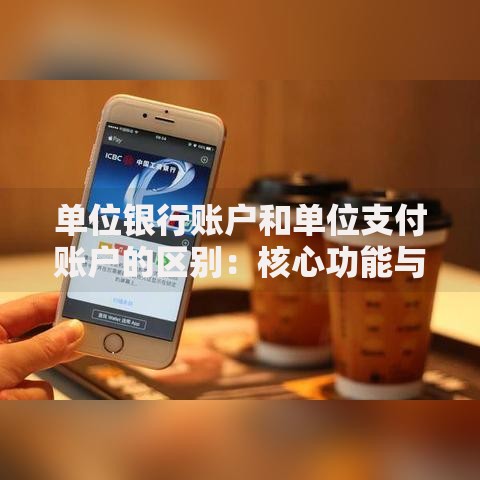 单位银行账户和单位支付账户的区别：核心功能与应用场景解析