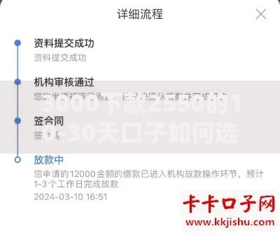 3000下款2550的10-30天口子如何选择？审核要求解析