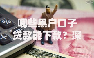 哪些黑户口子贷款能下款？深度解析违规借贷风险