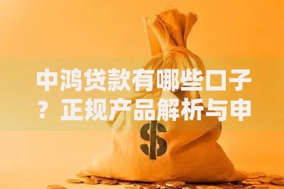 中鸿贷款有哪些口子？正规产品解析与申请条件详解