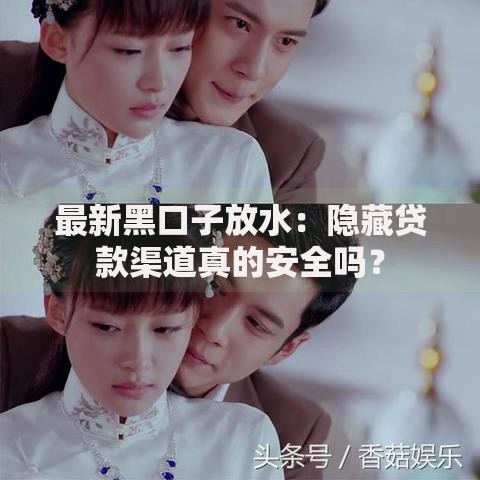 最新黑口子放水：隐藏贷款渠道真的安全吗？