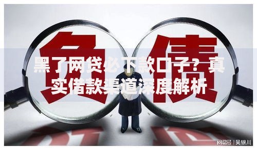 黑了网贷必下款口子？真实借款渠道深度解析