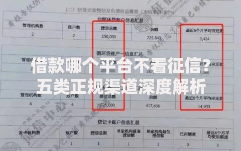借款哪个平台不看征信？五类正规渠道深度解析