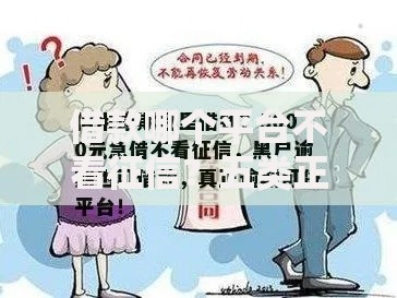 借款哪个平台不看征信？五类正规渠道深度解析