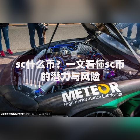sc什么币？一文看懂sc币的潜力与风险