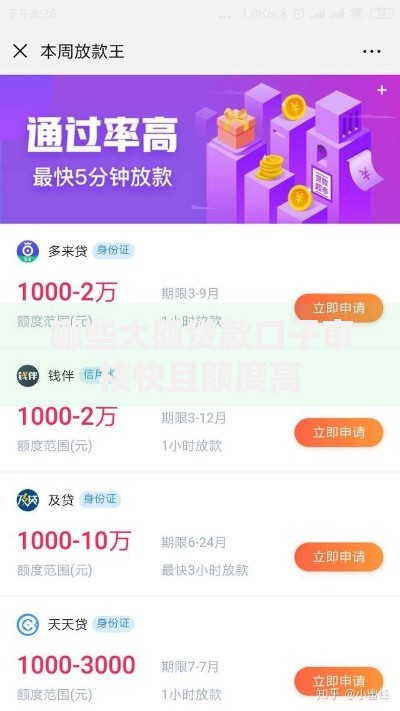 哪些大额贷款口子审核快且额度高