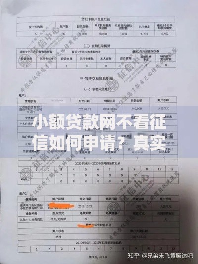 小额贷款网不看征信如何申请？真实可靠平台解析