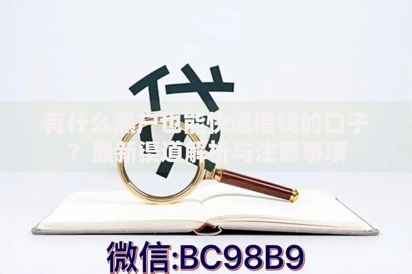 有什么黑户也能快速借钱的口子？最新渠道解析与注意事项