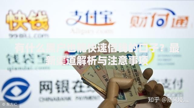 有什么黑户也能快速借钱的口子？最新渠道解析与注意事项