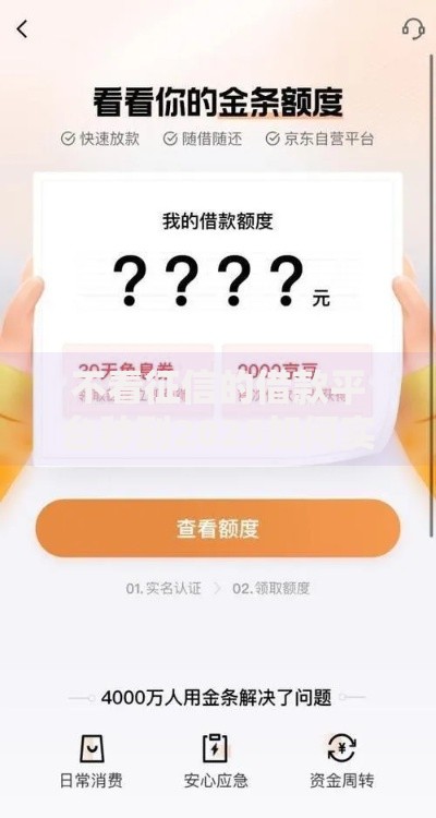 不看征信的借款平台秒到2025如何实现快速放款