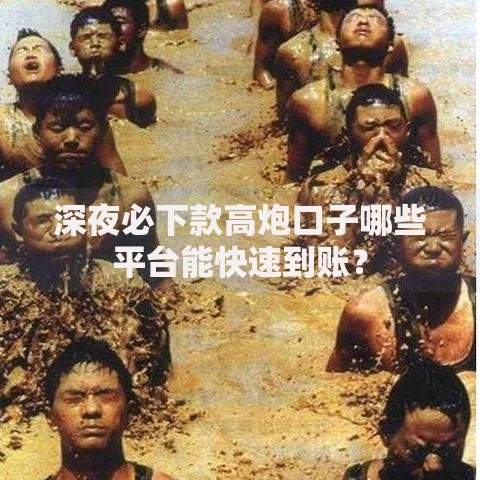 深夜必下款高炮口子哪些平台能快速到账？
