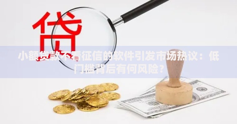 小额贷款不看征信的软件引发市场热议：低门槛背后有何风险？