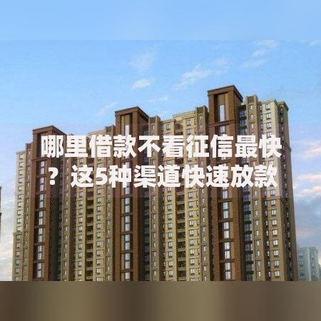 哪里借款不看征信最快？这5种渠道快速放款