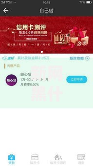 新网黑什么口子能下款？解析当前可靠借贷渠道及避坑策略