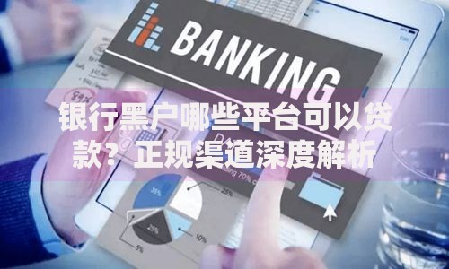 银行黑户哪些平台可以贷款？正规渠道深度解析