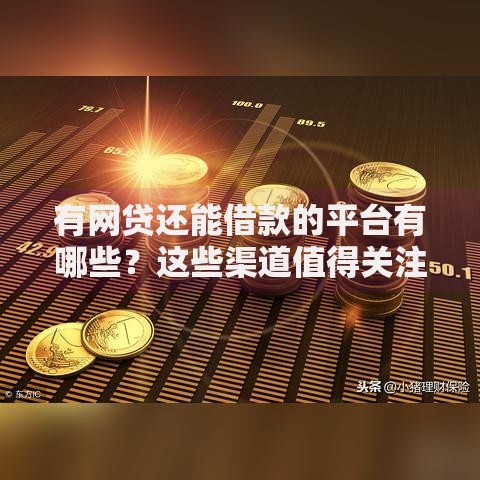 有网贷还能借款的平台有哪些？这些渠道值得关注