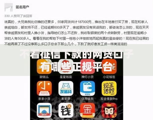 不看征信下款的网贷口子有哪些正规平台