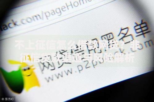 不上征信怎么借款网贷？非征信贷款渠道与风险解析