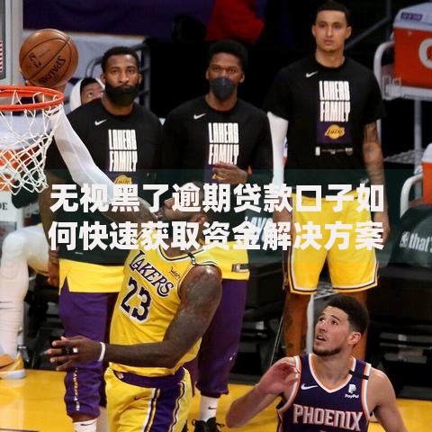 无视黑了逾期贷款口子如何快速获取资金解决方案