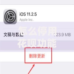 怎么停用花呗功能？小白必看的关闭指南与避坑提醒