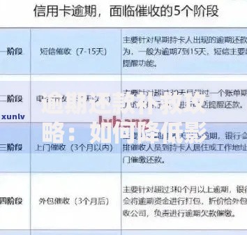 逾期还款补救攻略：如何降低影响并快速修复信用
