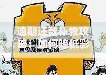 逾期还款补救攻略：如何降低影响并快速修复信用