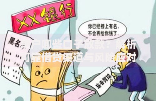 黑户哪些口子放款？解析可靠借贷渠道与风险应对