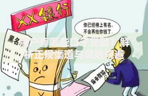 黑户有哪些口子贷款？解析正规渠道与风险规避