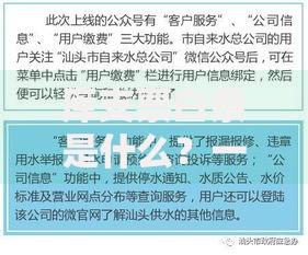 库支票白条是什么？一文搞懂它的功能与使用场景