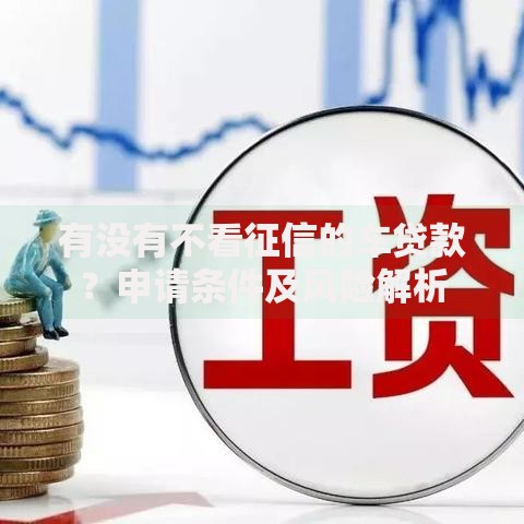 有没有不看征信的车贷款？申请条件及风险解析